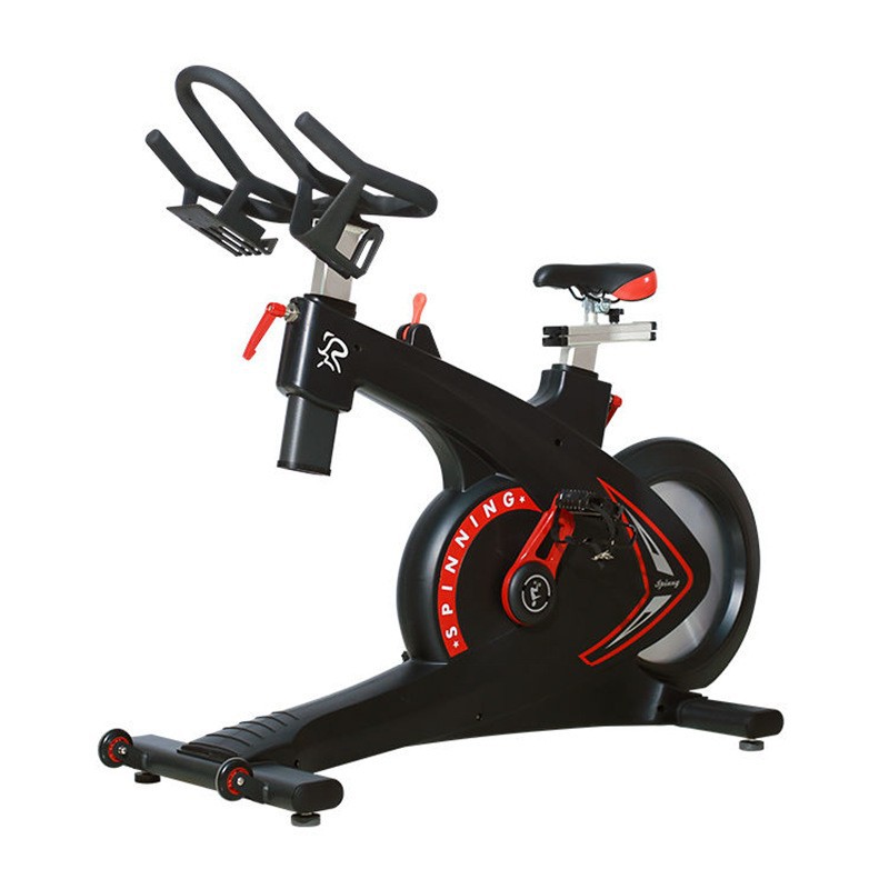 Belt-Drive Magnetic Spin Bike  - Home Gym Luxury Design 评论和价格