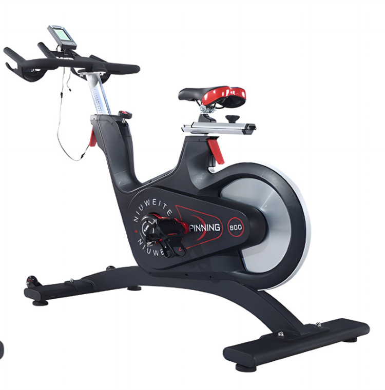Belt-Drive Magnetic Spin Bike  - Home Gym Luxury Design 评论和价格