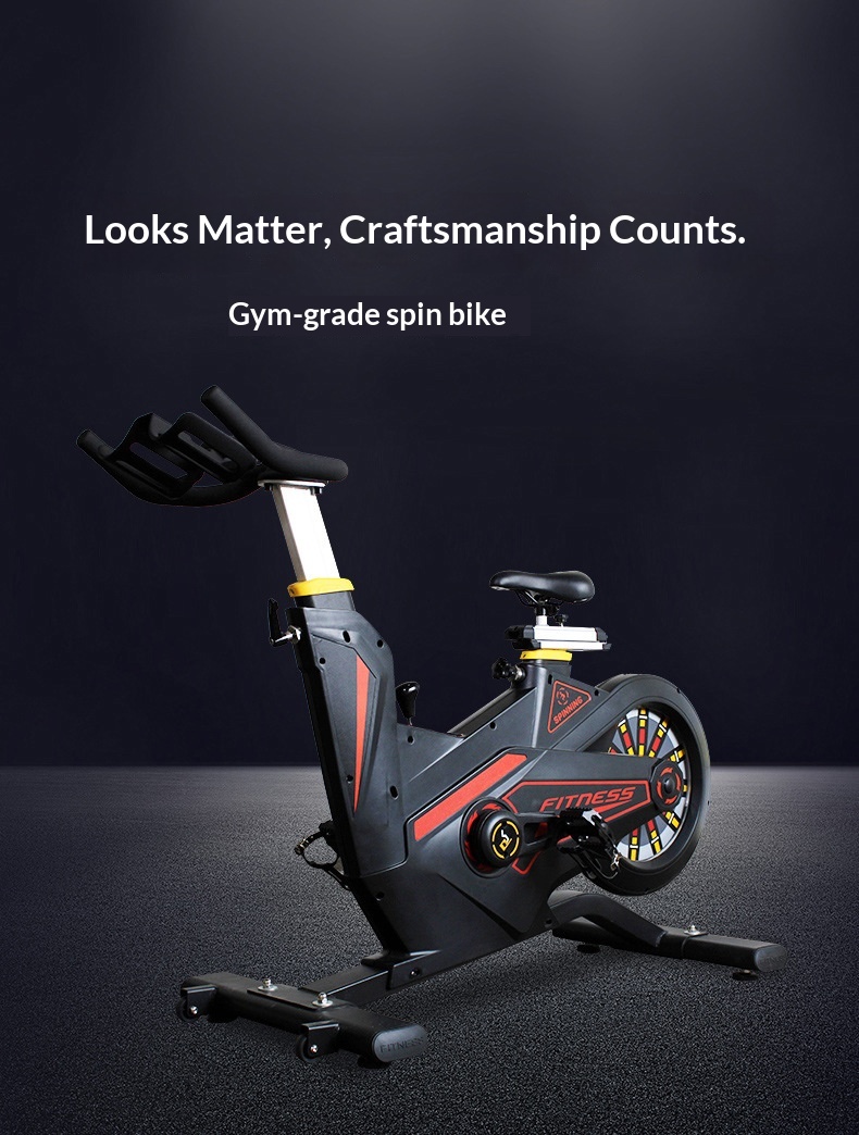 Belt-Drive Magnetic Spin Bike  - Home Gym Luxury Design 评论和价格