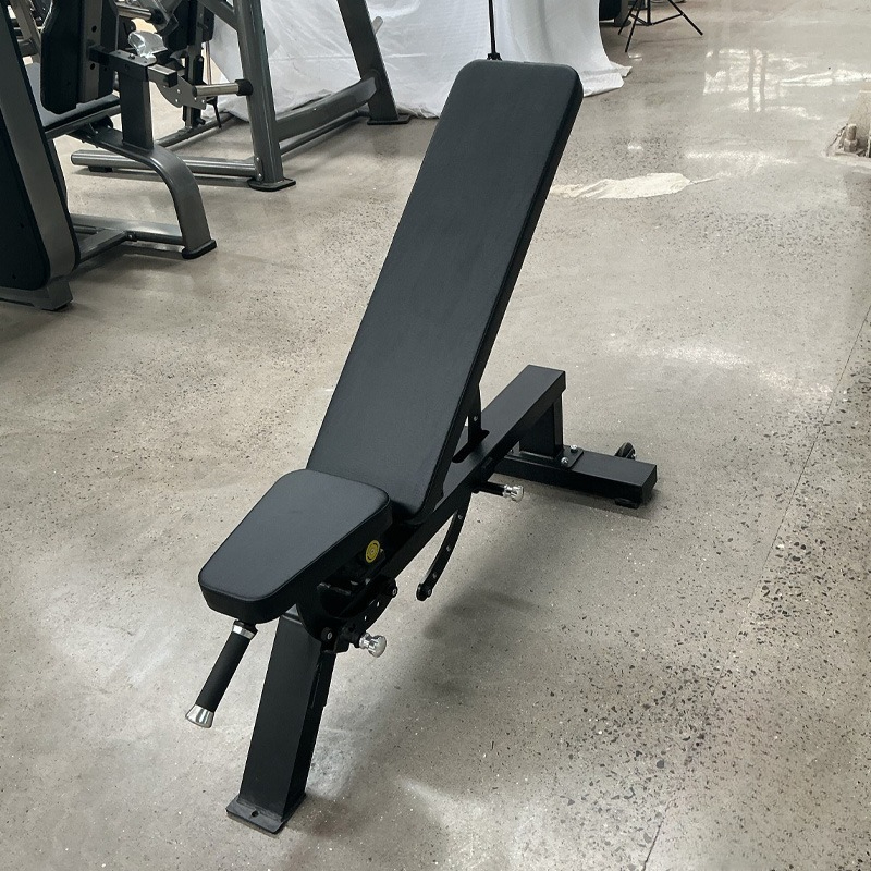 Adjustable Home Gym Dumbbell B - Home Gym Bench 评论和价格