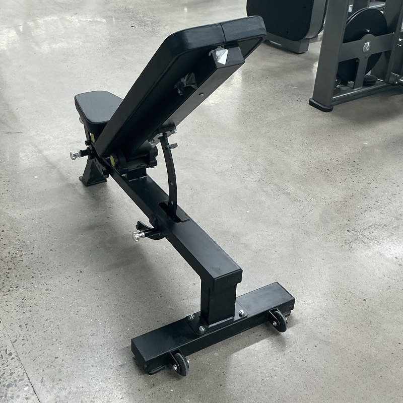 Adjustable Home Gym Dumbbell B - Home Gym Bench 评论和价格