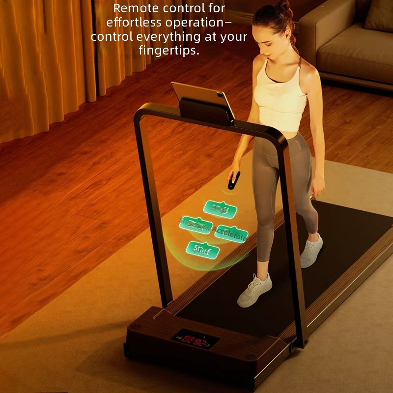 Treadmill, Foldable Quiet Elec - Home Gym Luxury Design 评论和价格